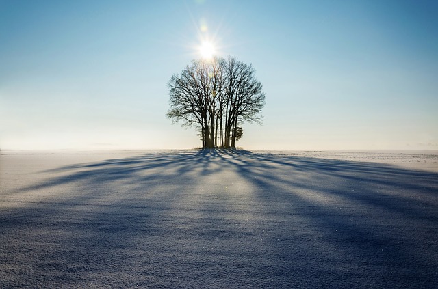 Képforrás: Canva Pro adatbázis.